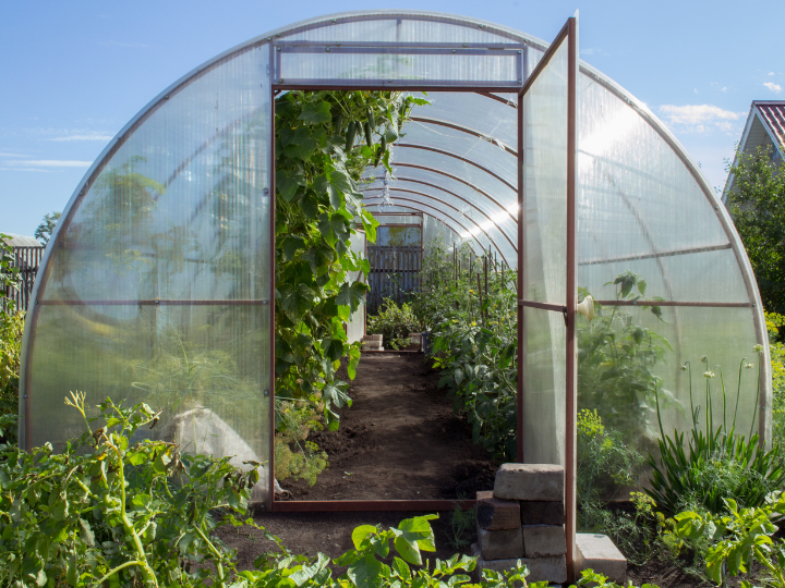 How Greenhouse Insurance Shields You from Natural Disasters