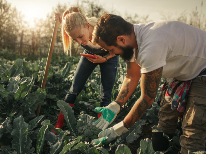 How Farm Insurance Protects Against Common Fall Hazards